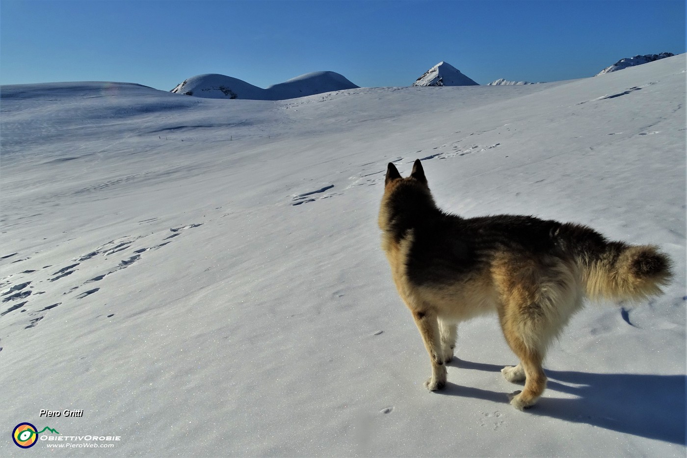 53 Attraversando il bel pianoro pascolivo del Cabretondo ammantato di neve.JPG